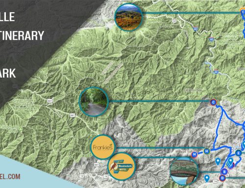 Road Trip And Things To Do In Waynesville NC
