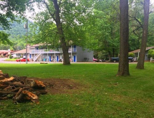 Rec Area