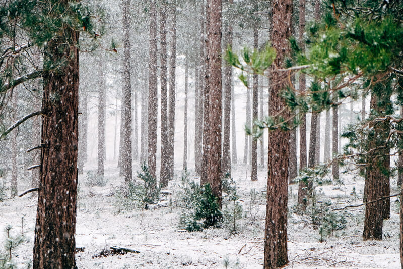 Smoky Mountains winter