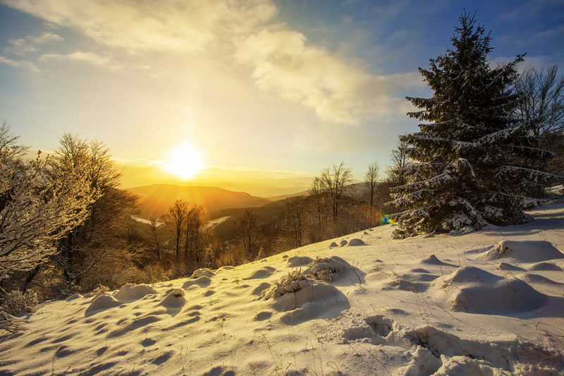 Winter Solstice in the Smoky Mountains
