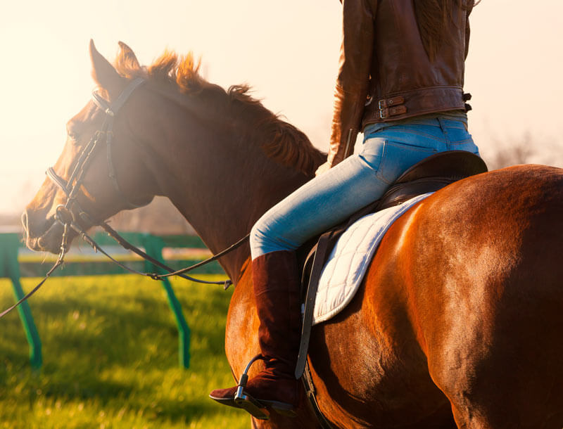 Horseback riding