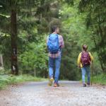 Hiking Trails