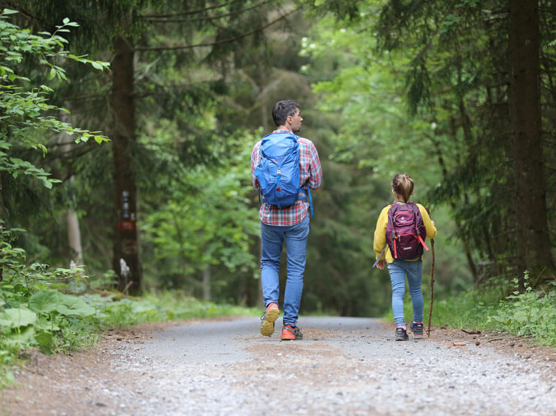 Hiking Trails