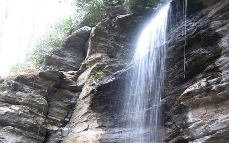 Moore Cove Falls 